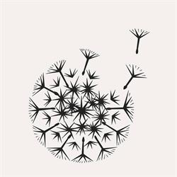Wilder Botanics, London opening hours