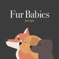 Fur Babies Pet Spa, Bexley opening hours