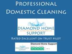 Diamond home support Westminster, London opening hours