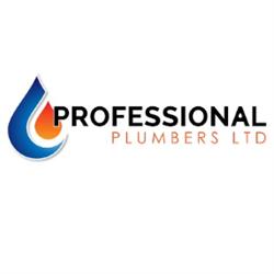 Professional Plumbers LTD, Ascot opening hours