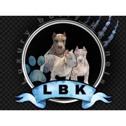 Luxury Bully Kennels Ltd in Bradford (Allerton) - Opening Hours