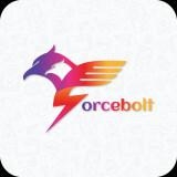 Force Bolt, Sutton Coldfield opening hours