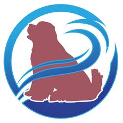 Cannock Canine Hydrotherapy, opening hours