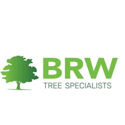 BRW Tree Surgeons, Ferndown opening hours
