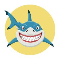 Shark - gutter and window cleaning Ltd, Worthing opening hours