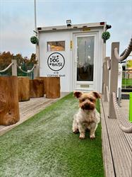 The Dog Bark, Lurgan opening hours