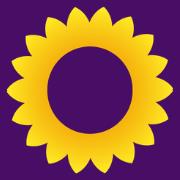Sunflower Charity Shop Rye, opening hours