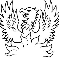 Phoenix Theatre & Phoenix Youth Theatre, Aberdeen opening hours