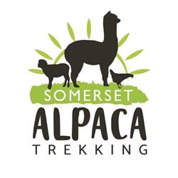 Somerset Alpaca Trekking, Chilton Polden opening hours