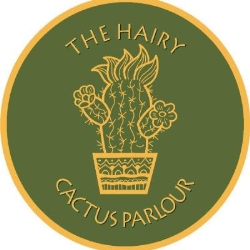 The Hairy Cactus Parlour, Bournemouth opening hours