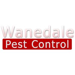 Wanedale Pest Control & Drainage Solutions, Rye opening hours