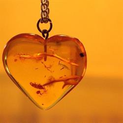 Amber Therapy Croxley Green, opening hours