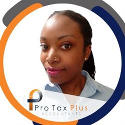 Pro Tax Plus Accountant, London opening hours
