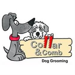 Collar & Comb Dog Grooming, Dartford opening hours