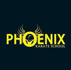 Phoenix Karate Schools, Hopton opening hours