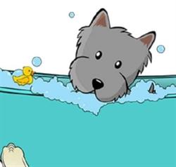Bark & Bath Dog Grooming, Glasgow opening hours