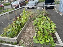 Queen St Community Garden, Broughty Ferry opening hours