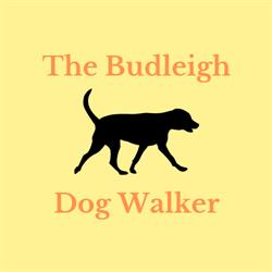 The Budleigh Dog Walker, Budleigh Salterton opening hours