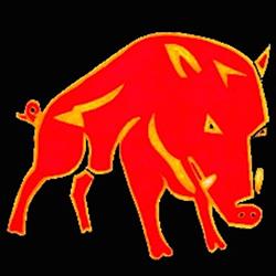 Hog Vaping, Heath Hayes opening hours