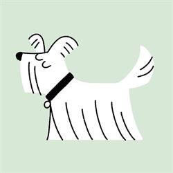 Woof & Ready, Dover opening hours