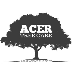 Acer Tree Care, Bradley opening hours