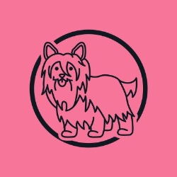 Poppys Parlour Dog Grooming, Chelmsford opening hours