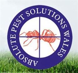 Absolute Pest Solutions Wales Ltd, Blaenavon opening hours