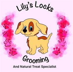 Lily's lock's dog grooming and Natural Treats Specialist's, Wallsend opening hours