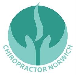 Chiropractor Norwich Colman Road, opening hours