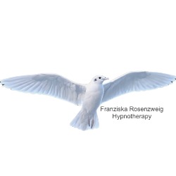 Franziska Rosenzweig Hypnotherapy, London opening hours