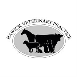 Hawick veterinary practice, opening hours