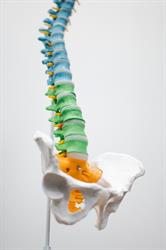 New Heights Family Chiropractic & Wellness Centre, Ermine Business Park opening hours