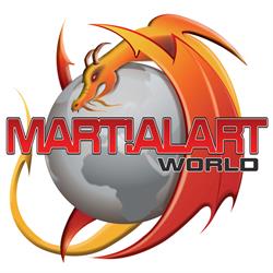 Martial Art World, Andover opening hours
