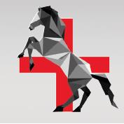Thomason and Harding Equine Vets, Elworth opening hours