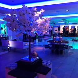 Apollonia Events, Stanmore opening hours