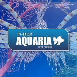 Trimar Aquaria and Reptiles, Pool opening hours