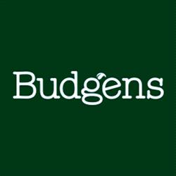 Budgens, Brentwood opening hours