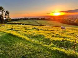 Padwick Farm Grazing, Bradnop opening hours