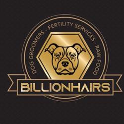 Billionhairs dog grooming, Manchester opening hours