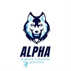 Alpha window cleaning services, Caterham opening hours