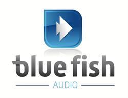 Blue Fish Audio, Walton-on-Thames opening hours