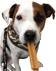 Jed and Friends' Veterinary Surgery, Bletchley opening hours