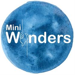 Mini Wonders Children's Physiotherapy, Chelmsford opening hours