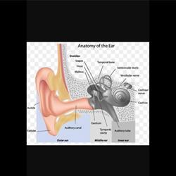 Eccleston Ear Syringing Clinic, opening hours