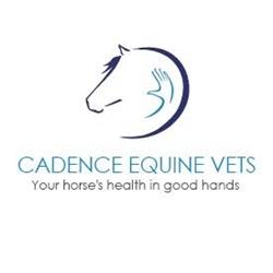 Cadence Equine Vets Ltd, Bradford-on-Avon opening hours