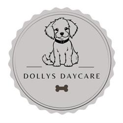 Dolly's Daycare, Thornton-Cleveleys opening hours