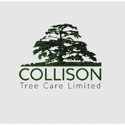 Collison Tree Care | Tree Surgeons Bedfordshire, Wing opening hours