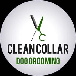 Clean Collar Dog Grooming, Hutton opening hours