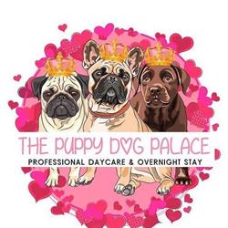 The puppy dog palace, Sunderland opening hours