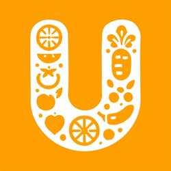 Universal Import Export UK LTD, Southall opening hours